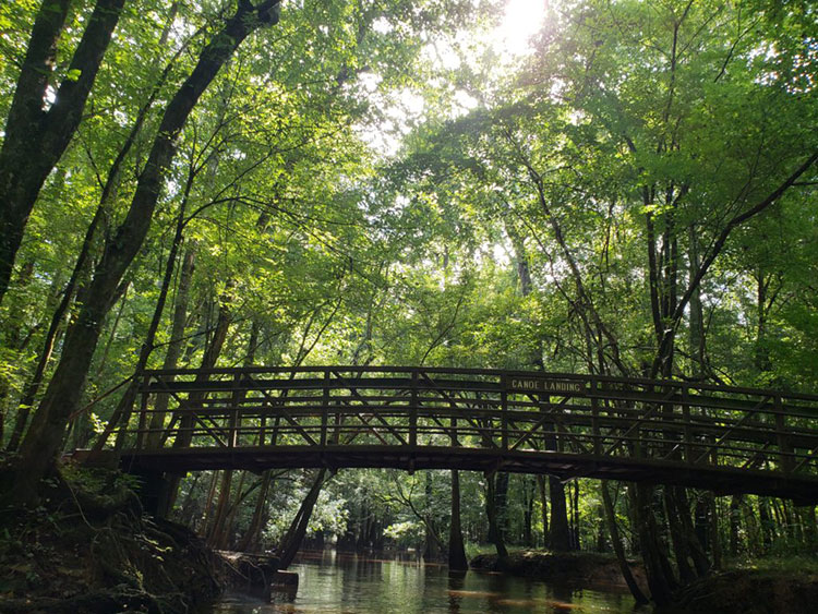 Congaree National Park