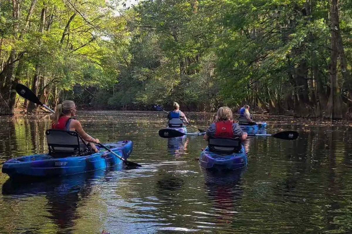 guided tours in kayak