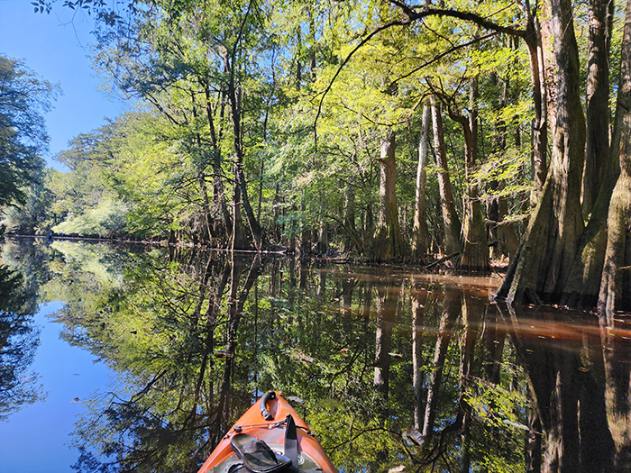 Kayaking