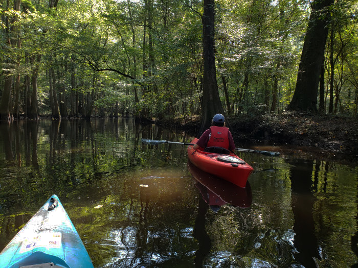 About Carolina Outdoor Adventures